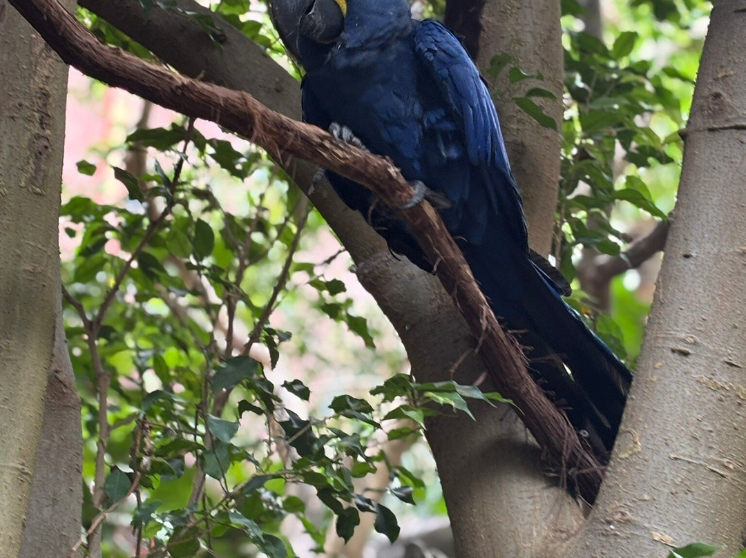 国家鸟类公园-匹兹堡必去景点