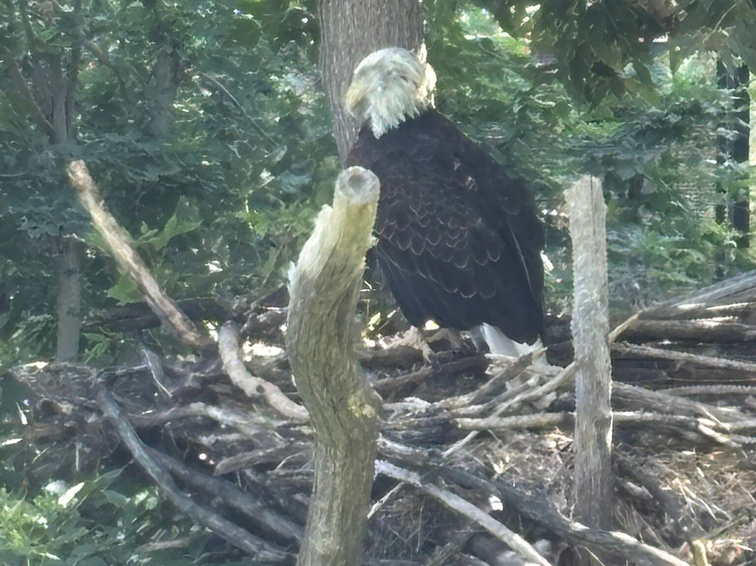 The Dakota Zoo-俾斯麦必去景点