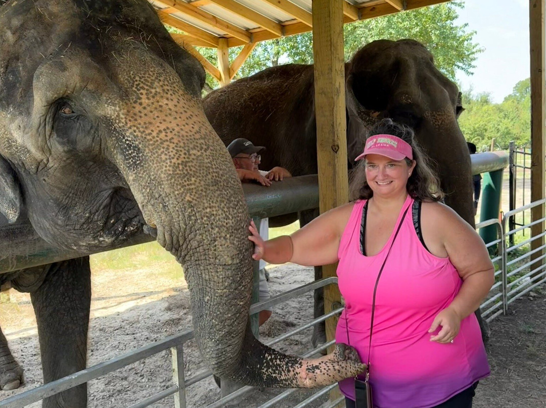 The Endangered Ark Foundation-Hugo必去景点