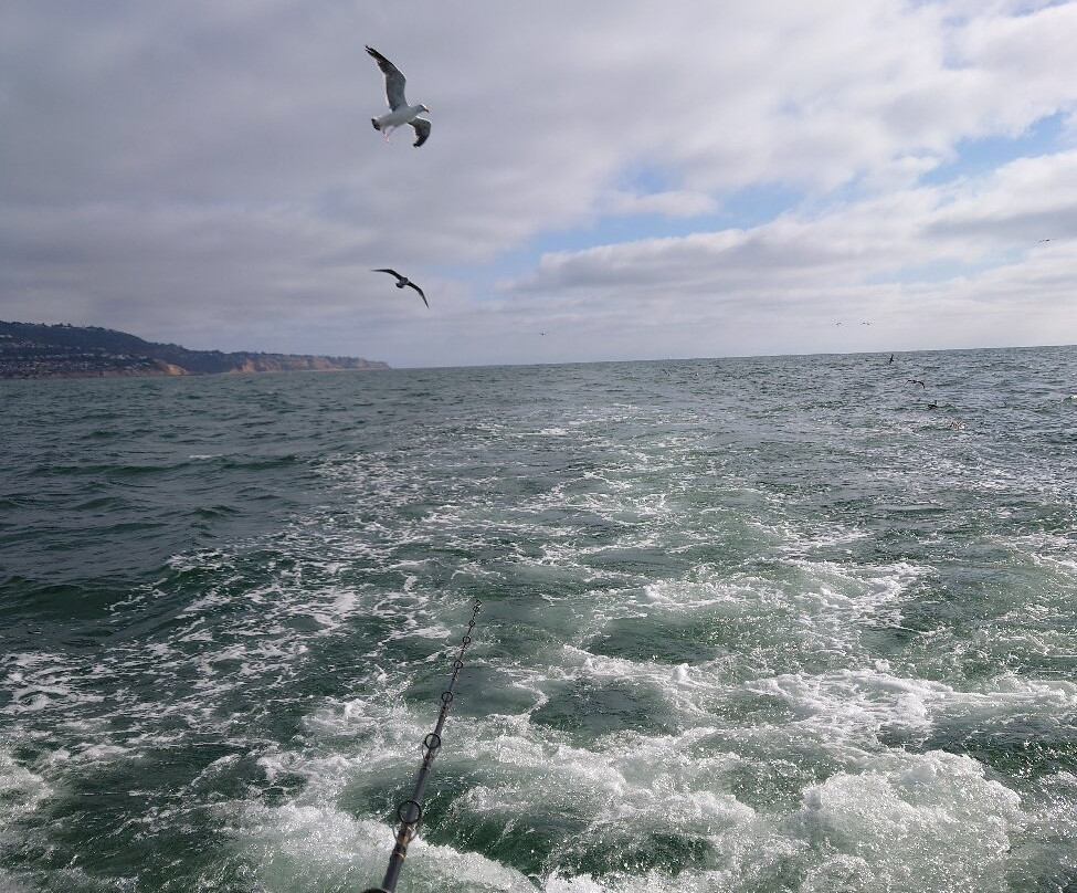 Redondo Beach Sportfishing-雷东多海滩必去景点
