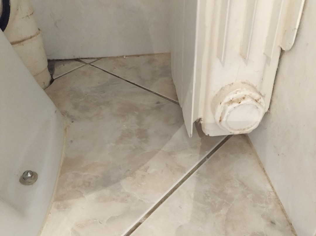 Hotel Restaurant la Rose des Vents主图