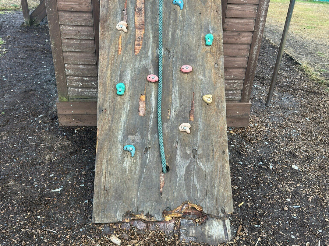 Borth Animalarium-Borth必去景点