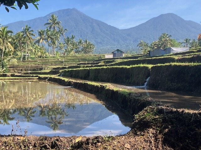 Jatiluwih-Jatiluwih必去景点