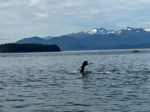 Alaska Tales-朱诺必去景点