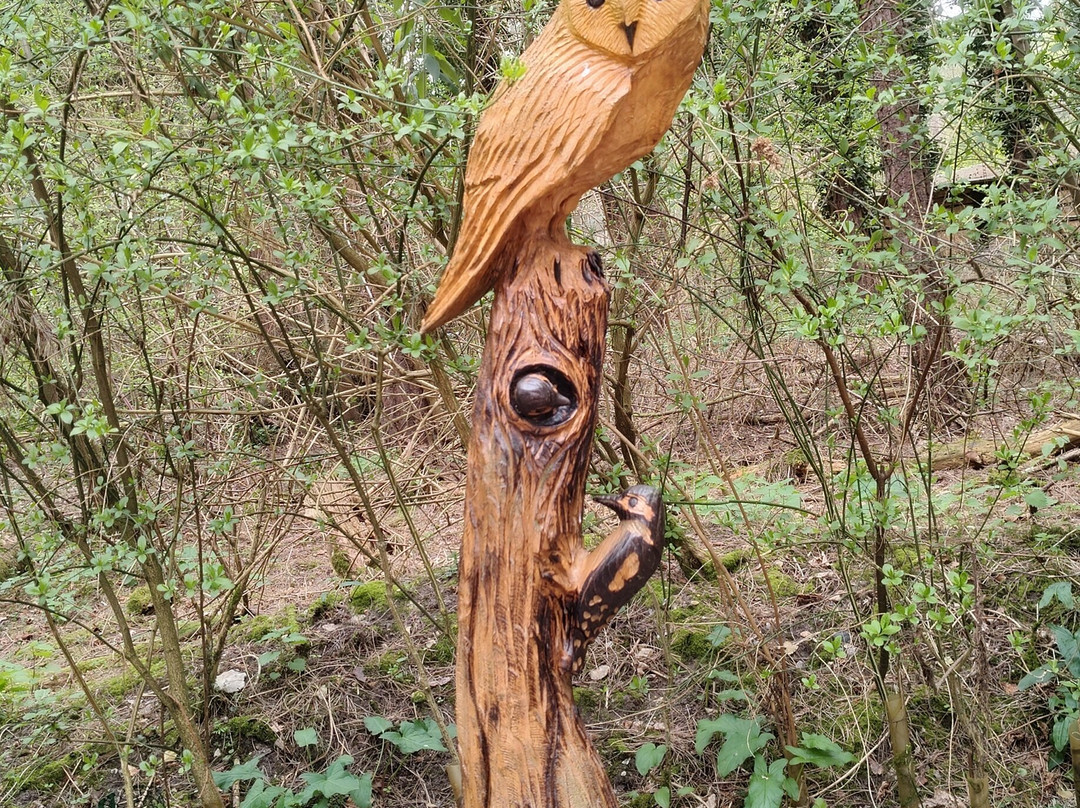 Holt Country Park-诺威奇必去景点
