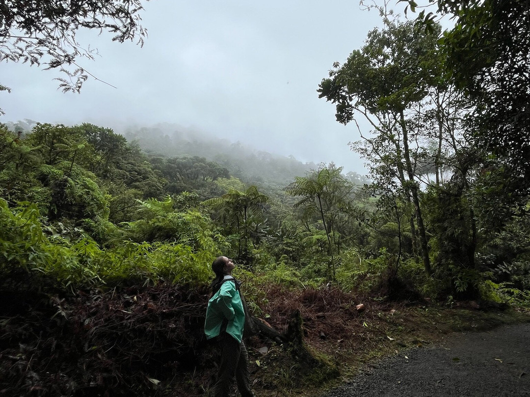 Parque National Volcan Tenorio-Bijagua de Upala必去景点