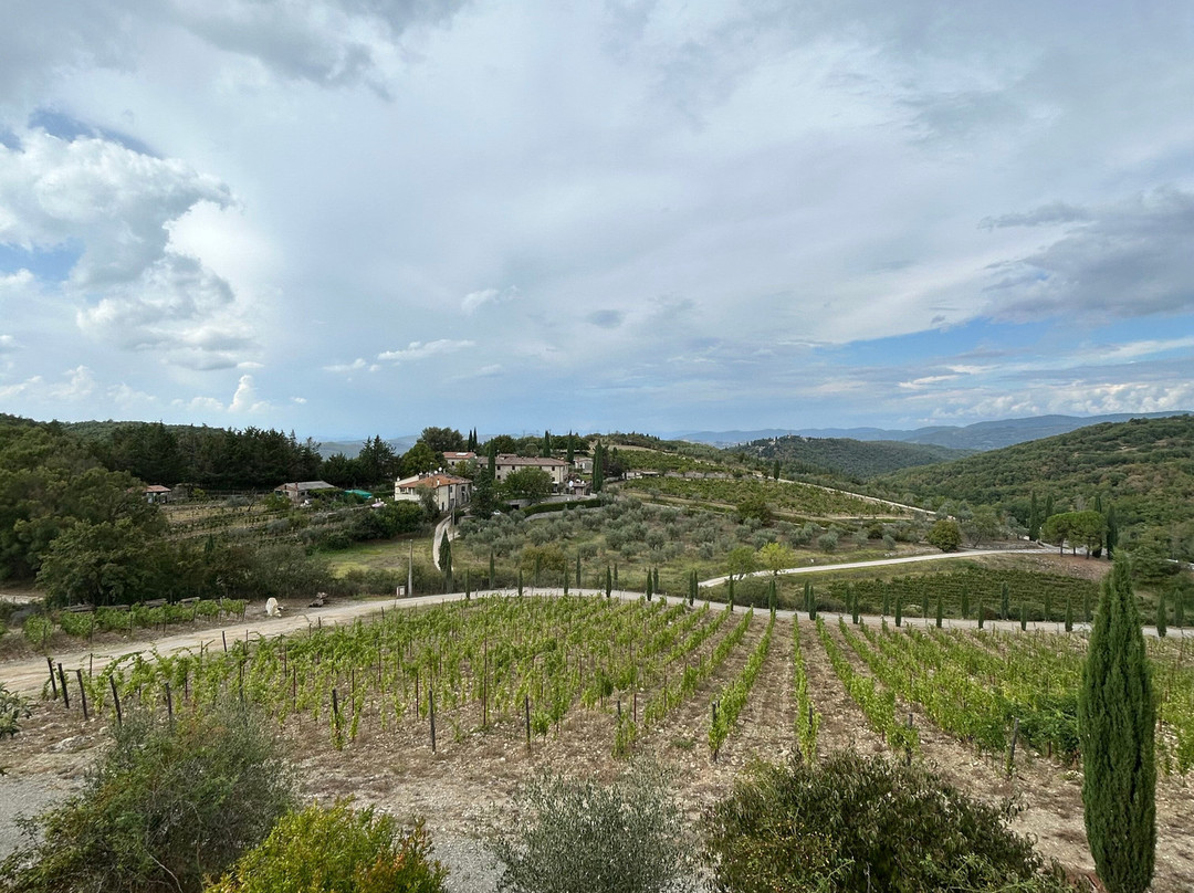 Poggio Amorelli-卡斯特利纳－因基安蒂必去景点