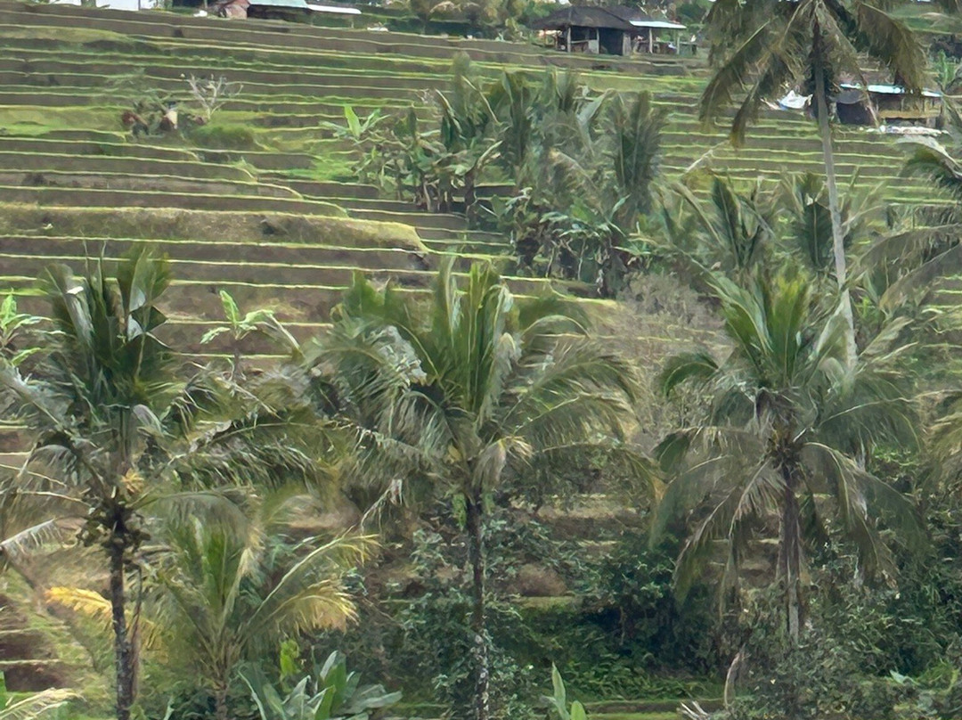 Bali Dreamscape Tour-Kerobokan Kaja必去景点