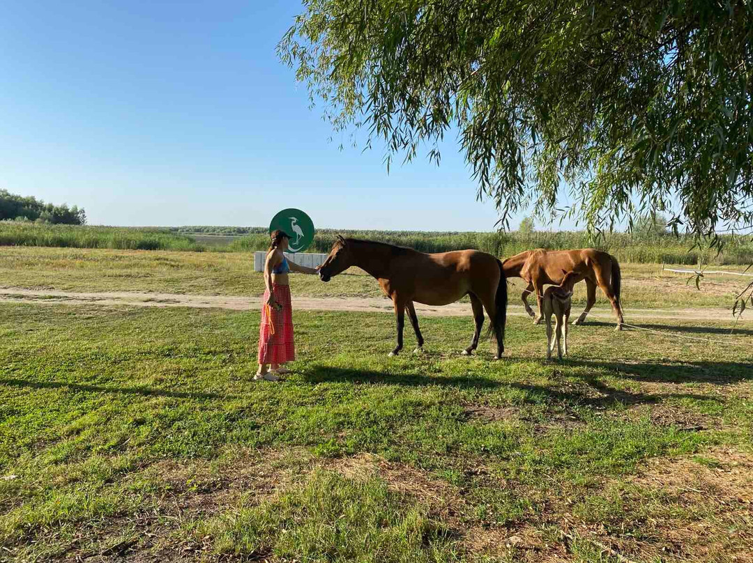 La Gura Cuptorului-Cahul必去景点