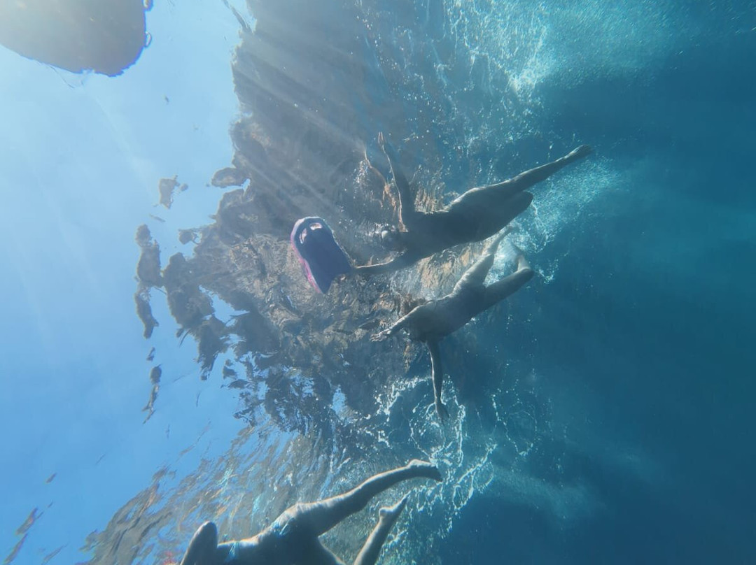 Cilento Snorkeling-Marina di Camerota必去景点