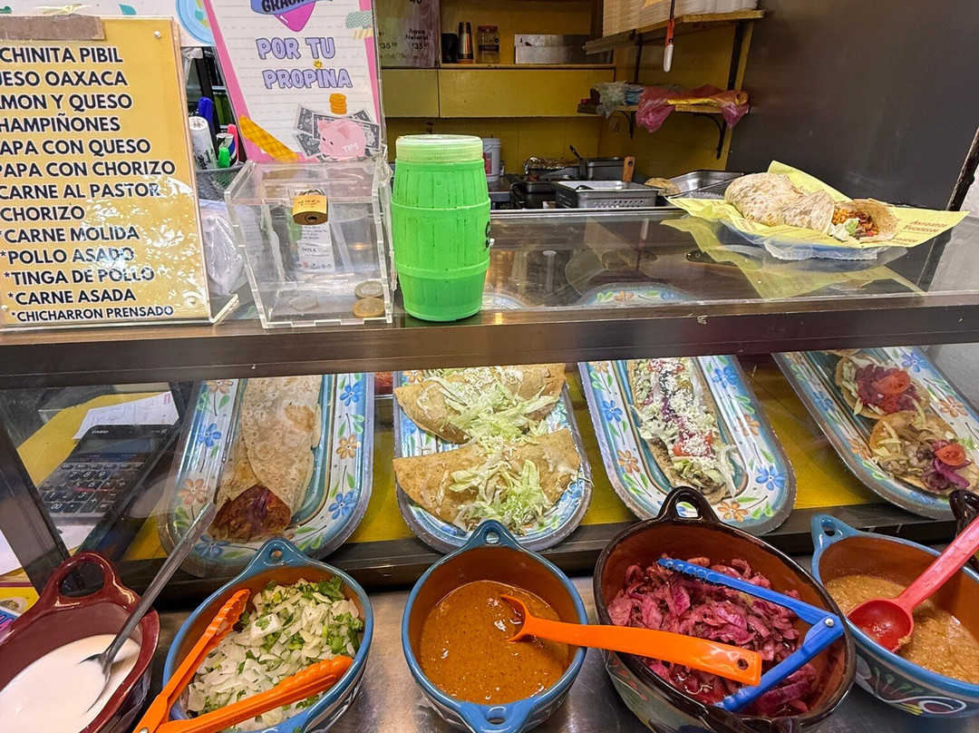 El Parque de las Palapas-坎昆必去景点