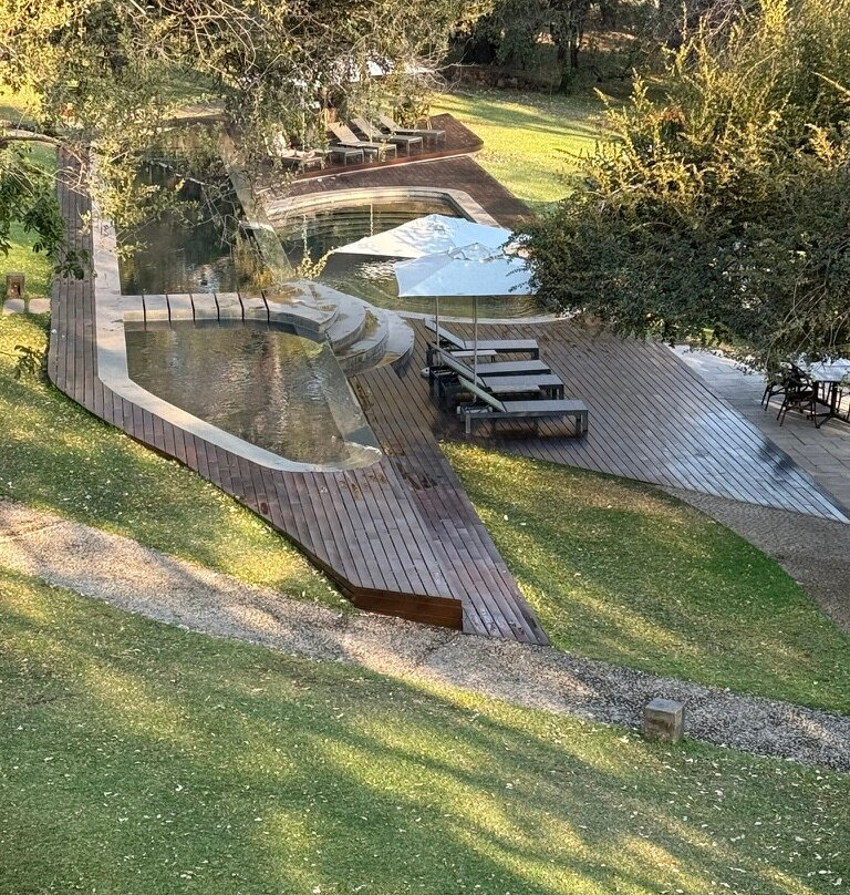 The Palm River Hotel主图