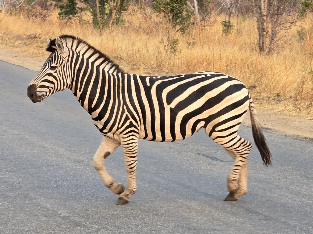 On Safari Africa-雾观必去景点