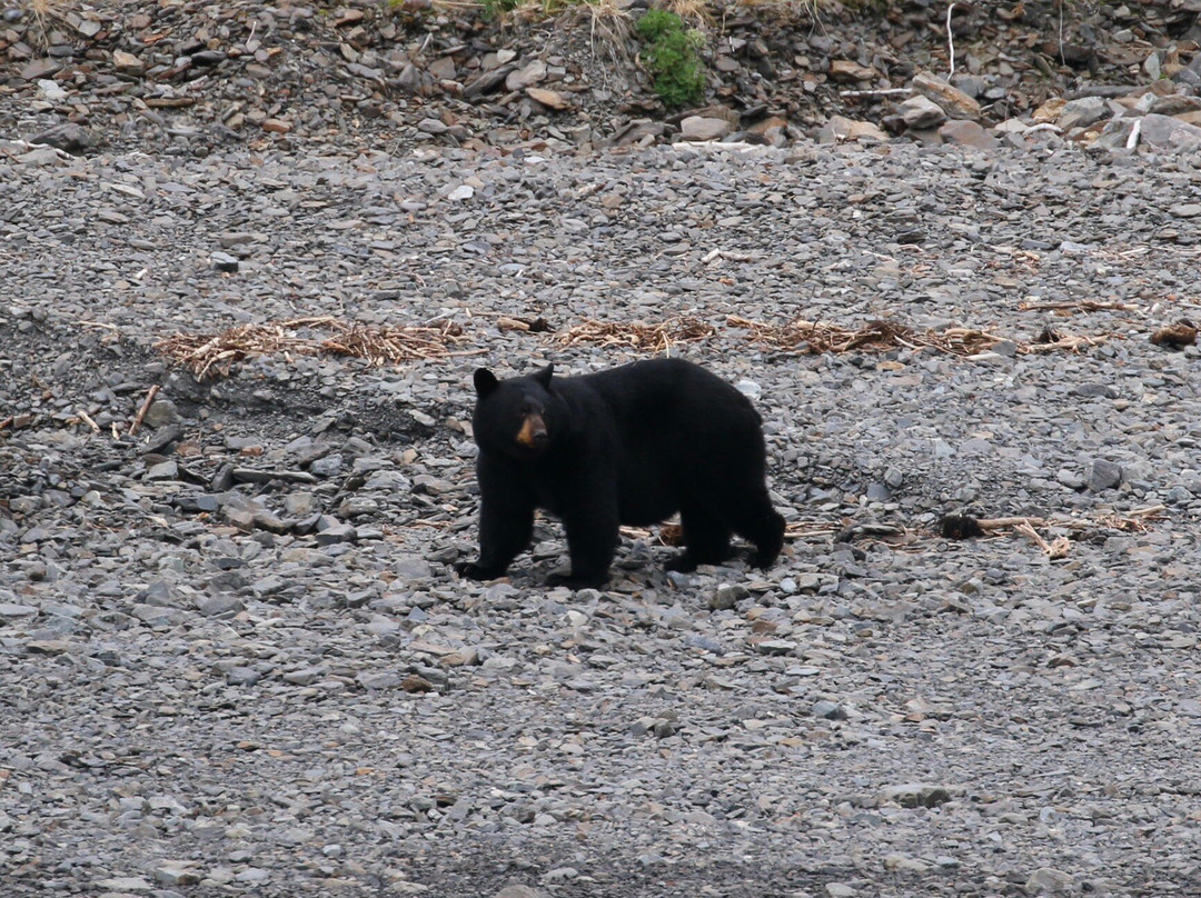 基奈峡湾国家公园-苏厄德必去景点