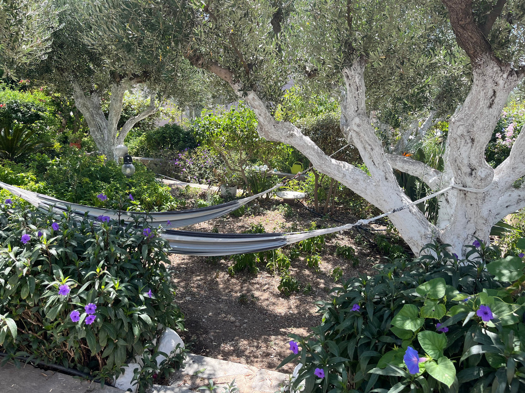 Harry's Paradise Apartments主图