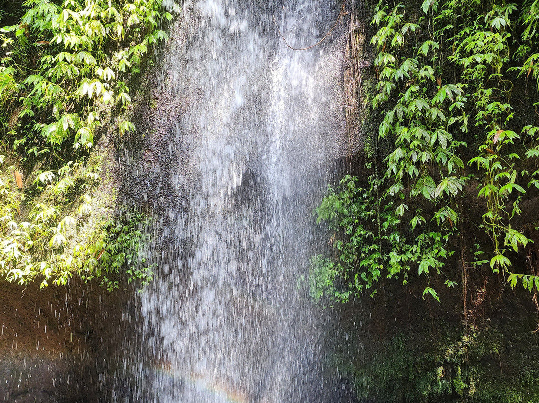 Ubud Private Driver (Made Ada) - Day Tours-德格拉朗必去景点