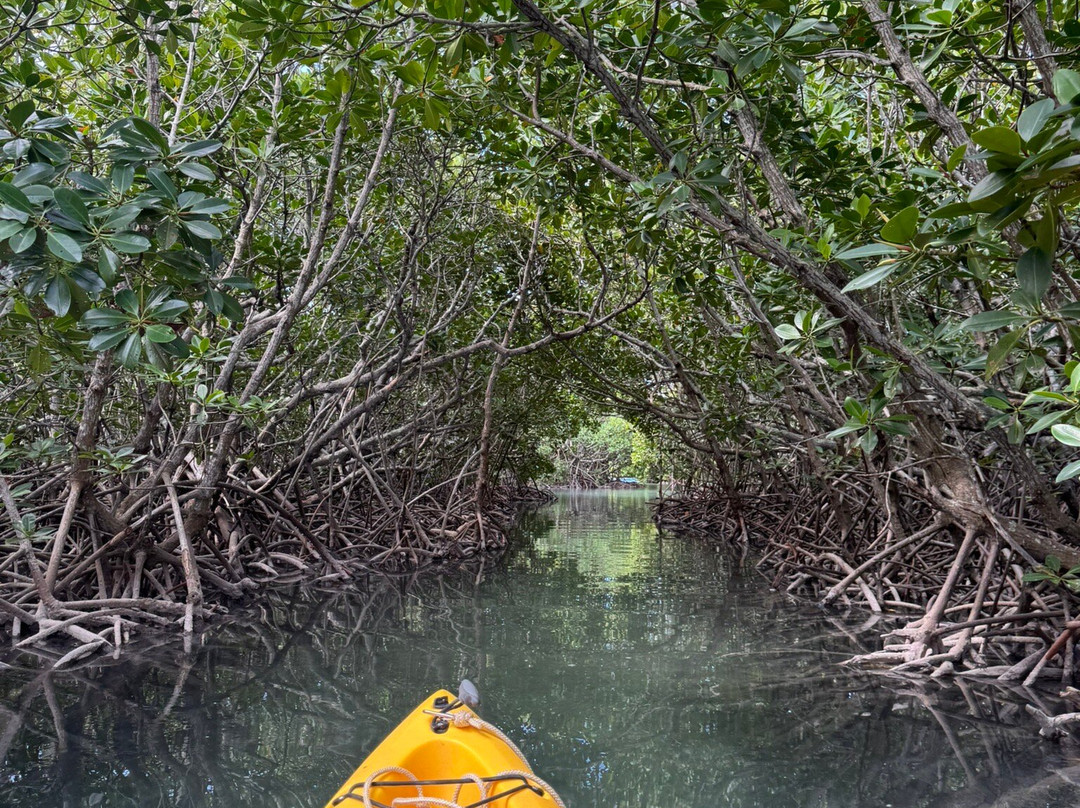 Sea Kayak Adventures-毛里求斯必去景点