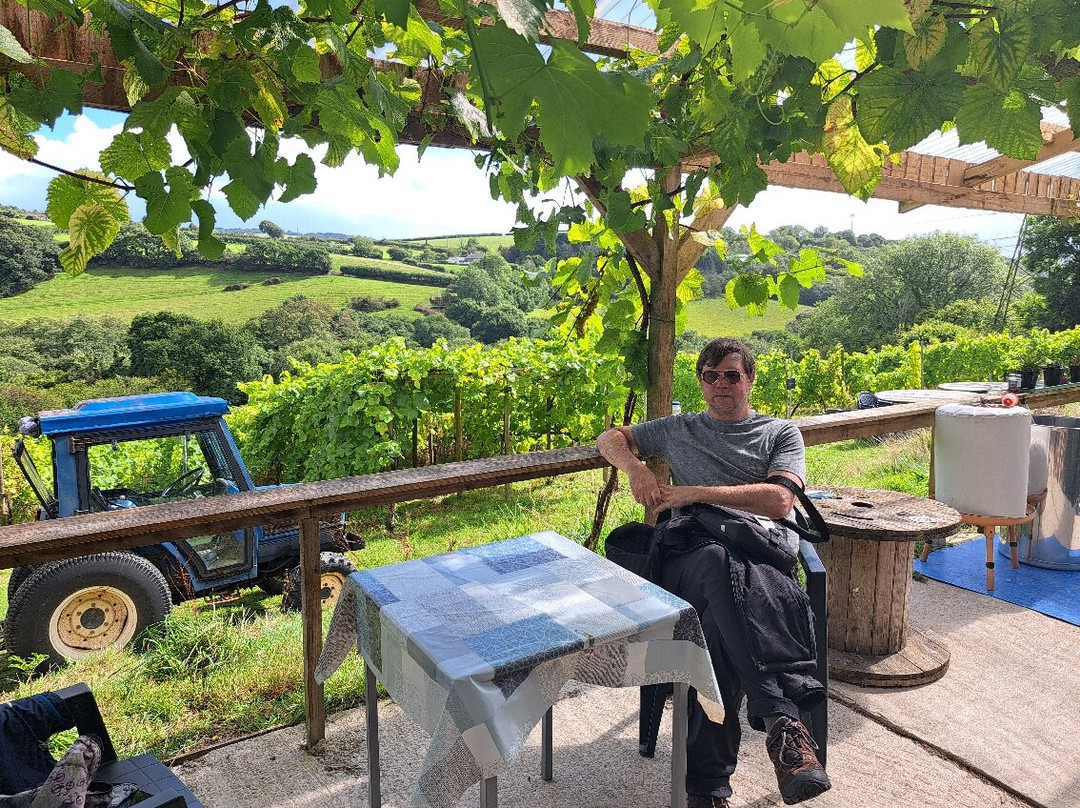 Looe Valley Vineyard-卢城必去景点