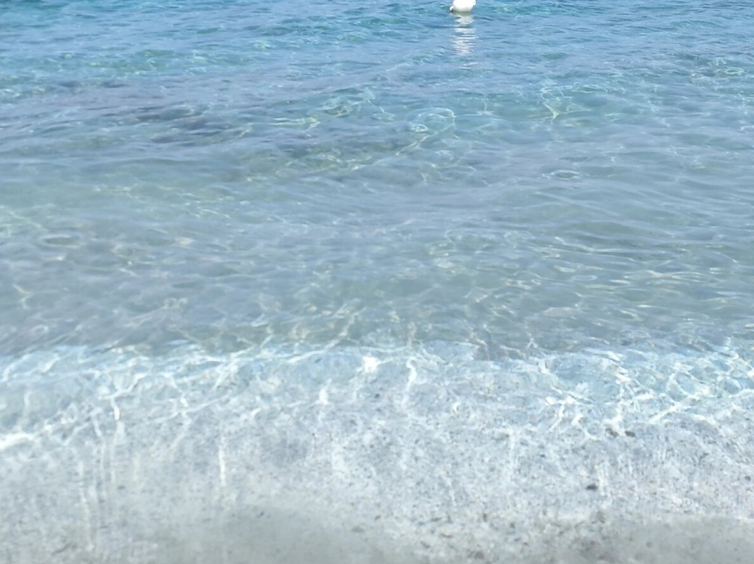 Beach Club 69-斯廷蒂诺必去景点