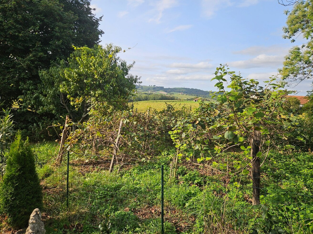 Maison Elizondoa主图