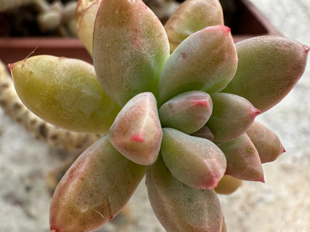 Bodegas Landsua-Samaipata必去景点