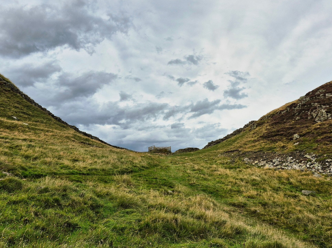 Sycamore Gap-Northumberland National Park必去景点