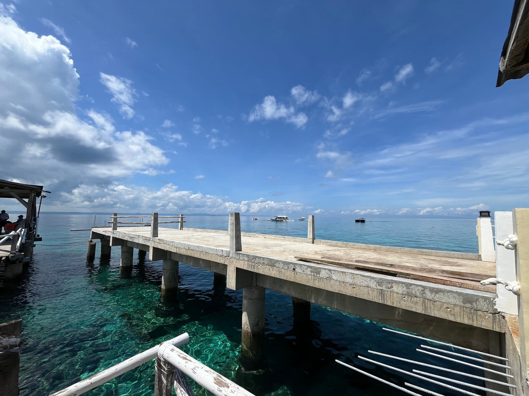 Nalusuan Island Marine Sanctuary-哥多华必去景点