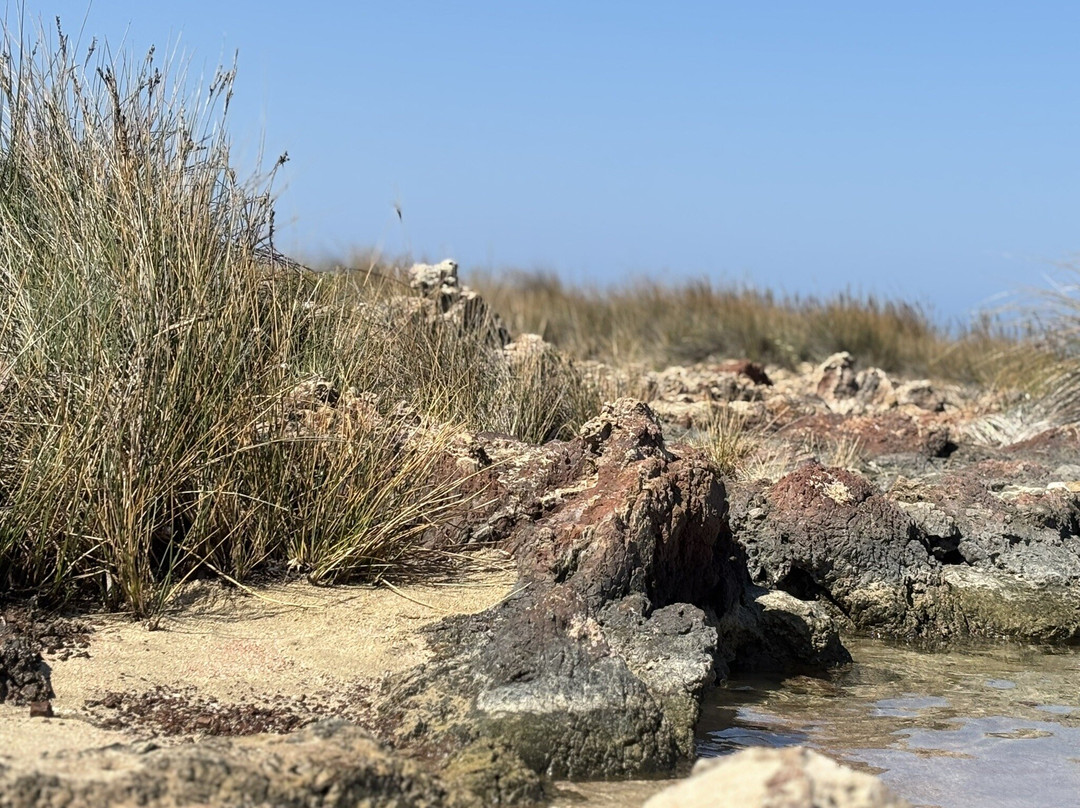 Tiny Beach Pink Sand-Limeniskos必去景点