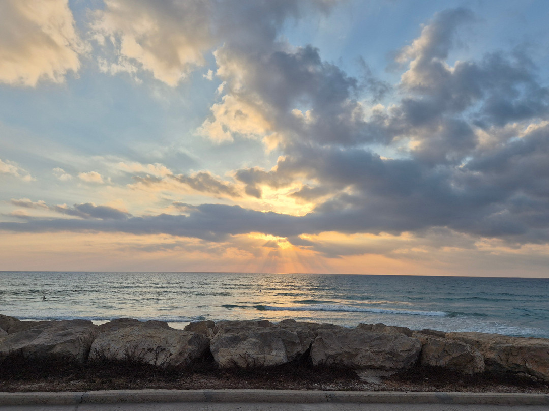 海法皇冠假日酒店主图