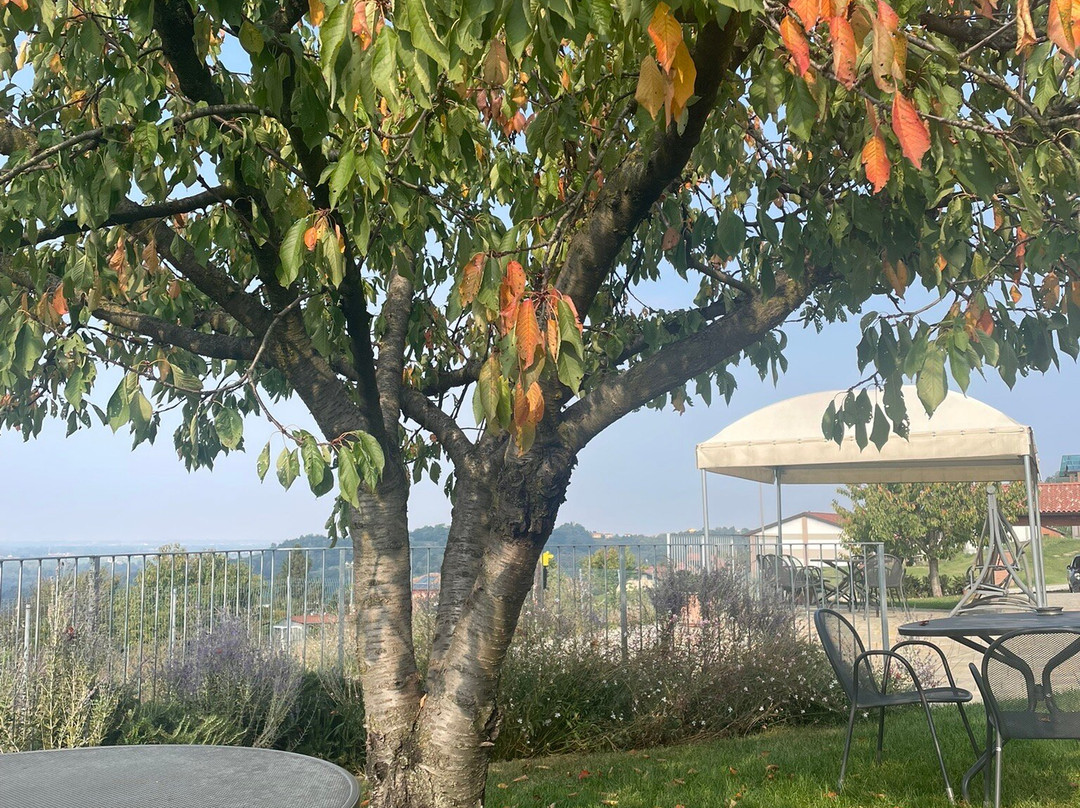 Agriturismo le Viole主图