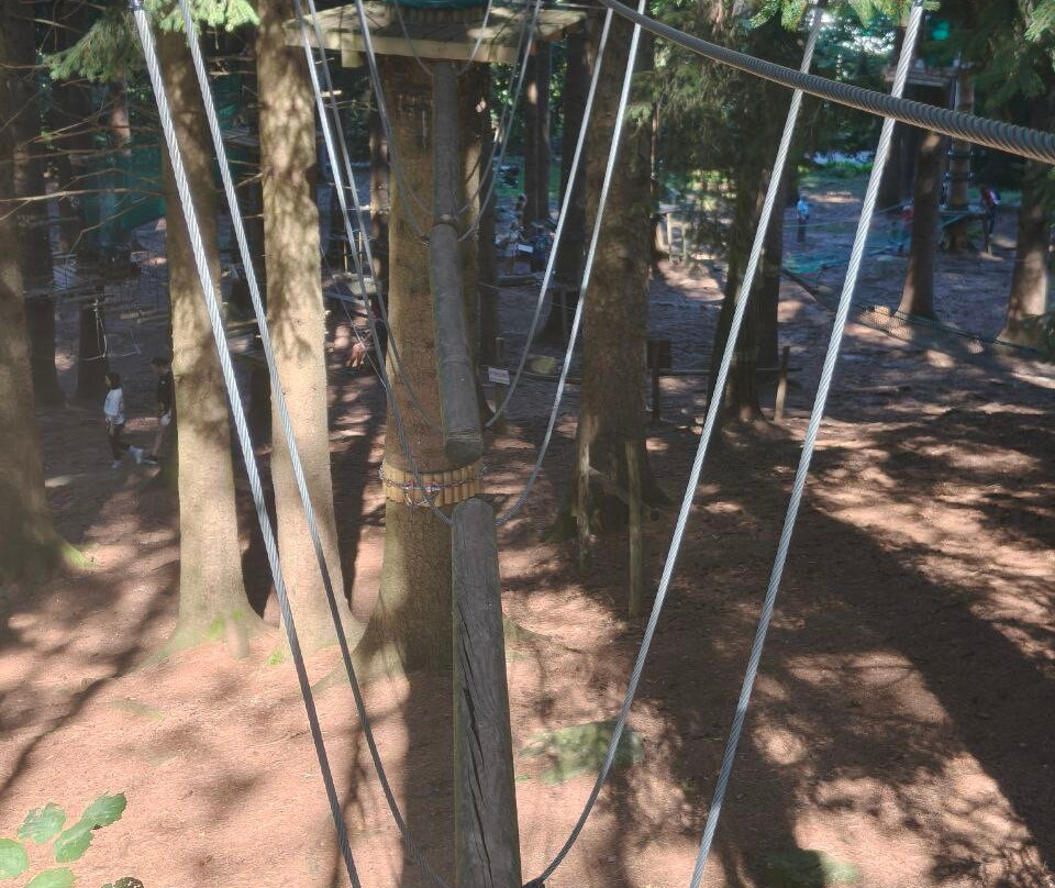 Jungle Raider Park-Civenna必去景点