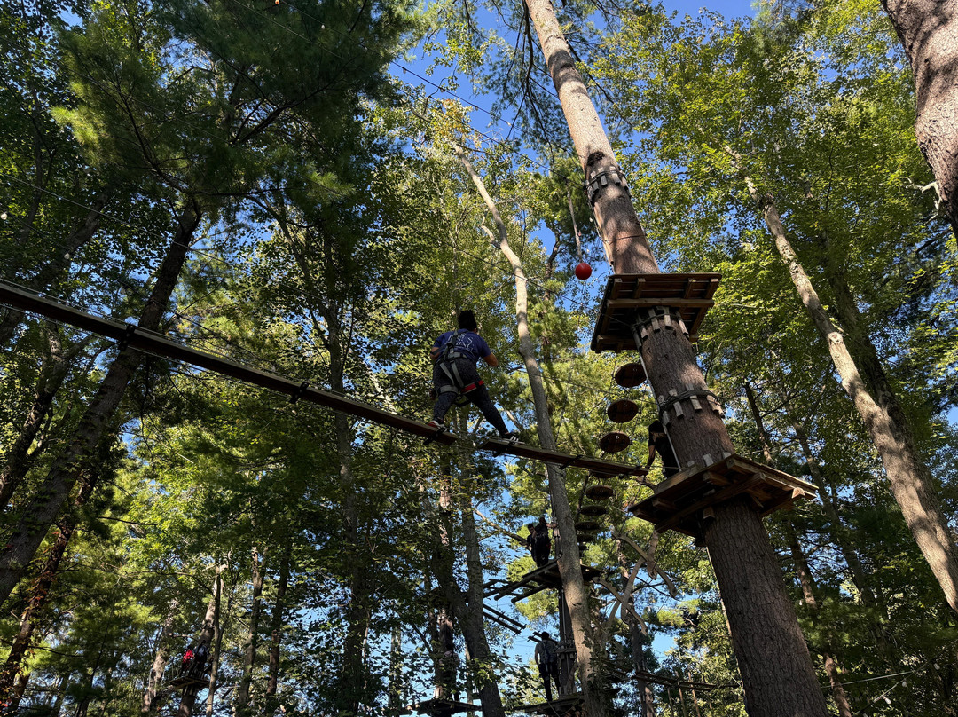 TreeTop Adventures Canton-Canton必去景点