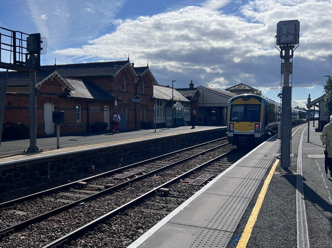 Belfast Millie Tours-贝尔法斯特必去景点