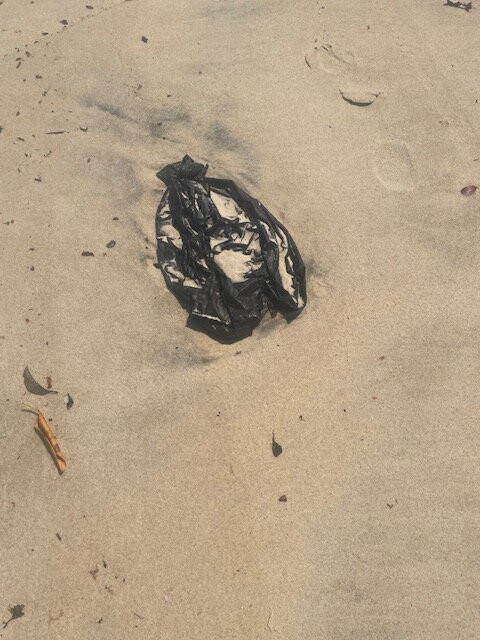 Praia do Carro Quebrado-Barra de Santo Antonio必去景点