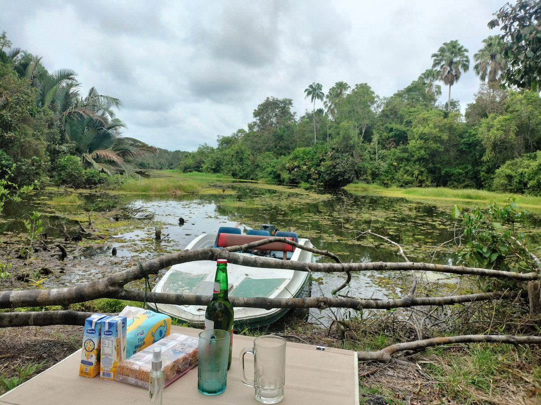 萨特沃大象生态酒店主图