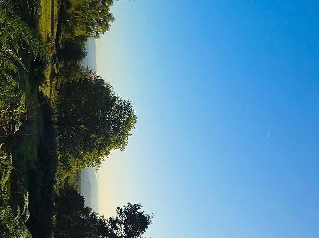 Beacon Hill Country Park-拉夫堡必去景点