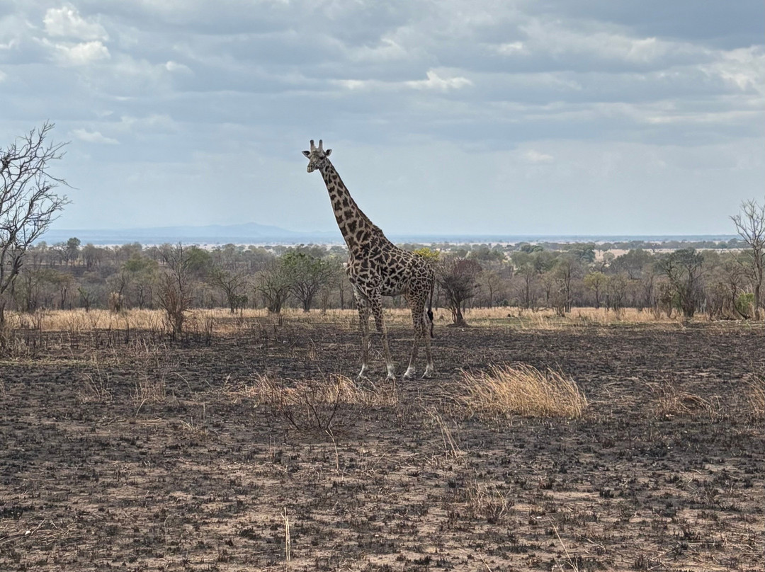Travel with Deo-Mloka必去景点