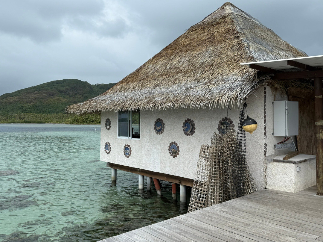 Huahine Pearl Farm-Huahine必去景点