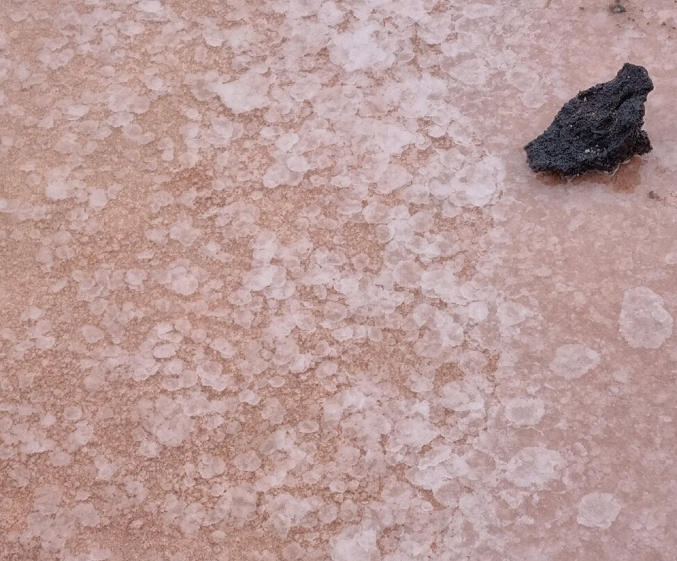 Salinas de los Cocoteros-Teguise必去景点