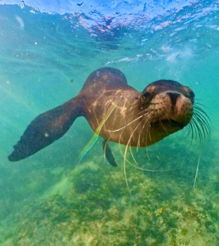 Ecuador Wonders Tour Operator-基多必去景点
