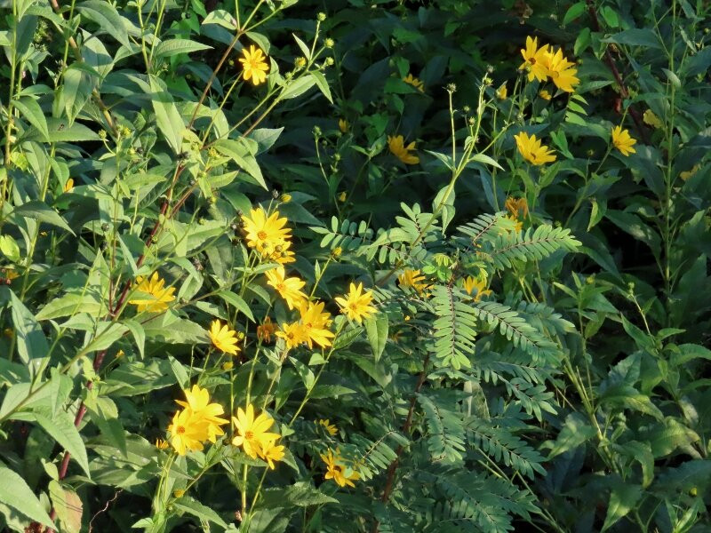 Sentiero del Tidone-皮亚琴察必去景点