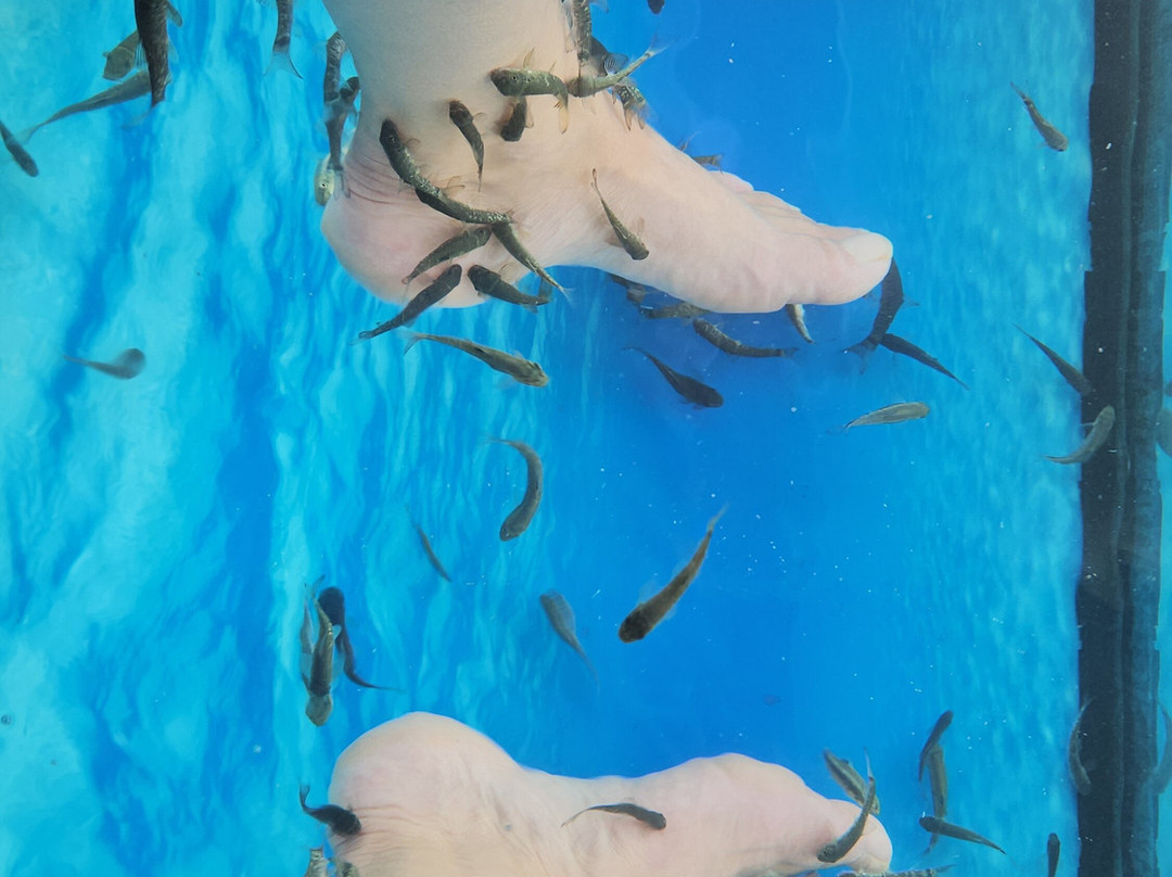 AquaTails Fish Spa & Beauty Center Pernera-Pernera必去景点