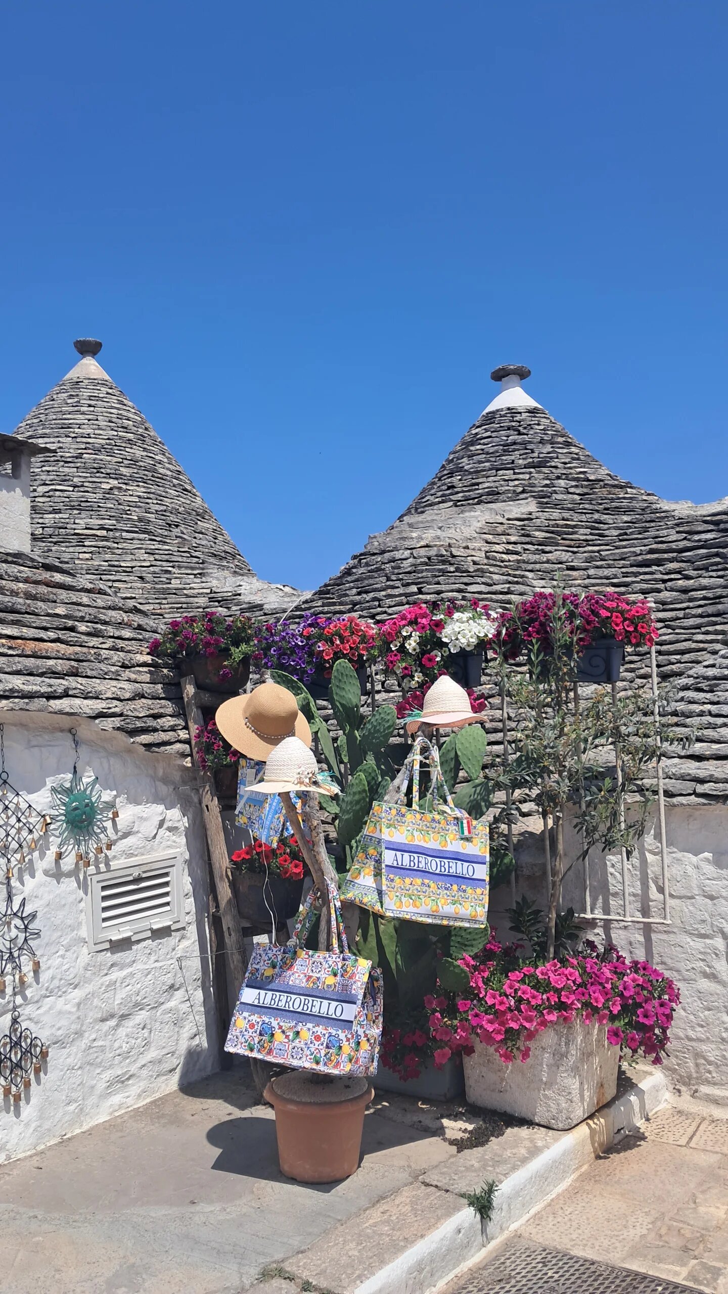 Marelive - CDSHotels-官方