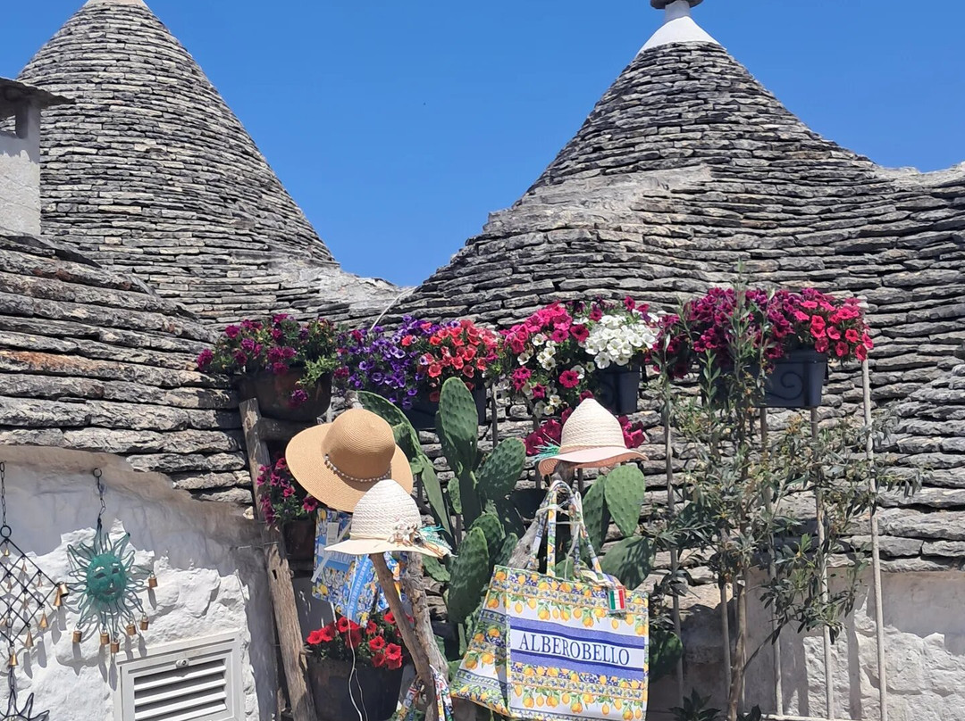 Marelive - CDSHotels主图