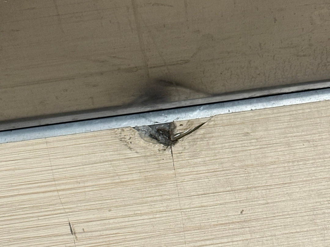 Best Western Springfield West Inn主图