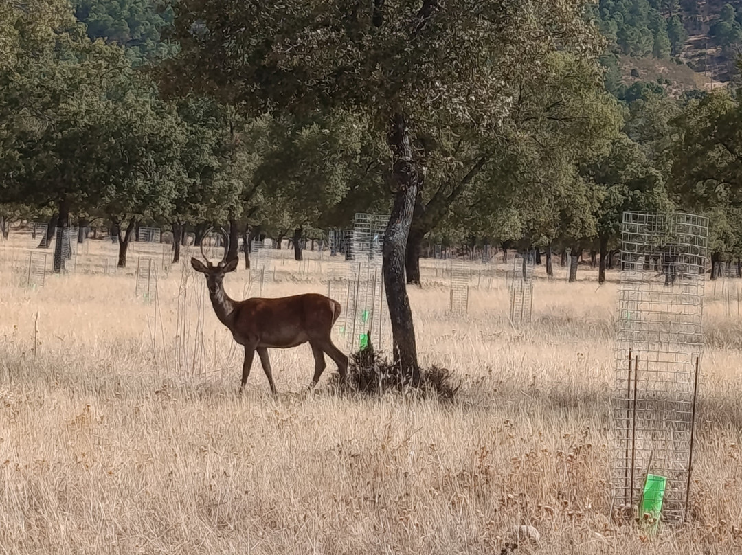 Hotel Balneario de Fuencaliente主图