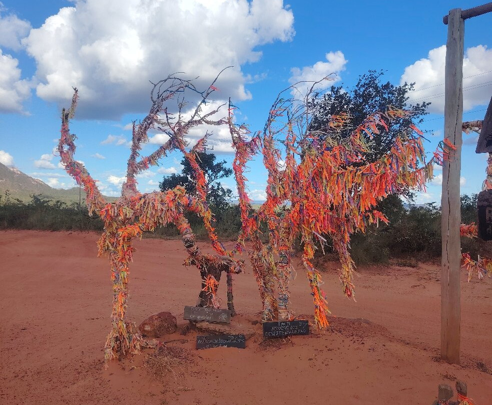 Árvore dos Desejos-Mateiros必去景点