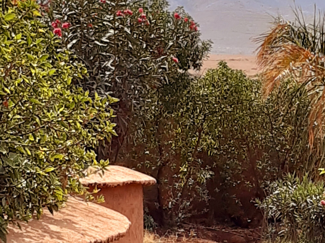 Les Jardins de Taja主图