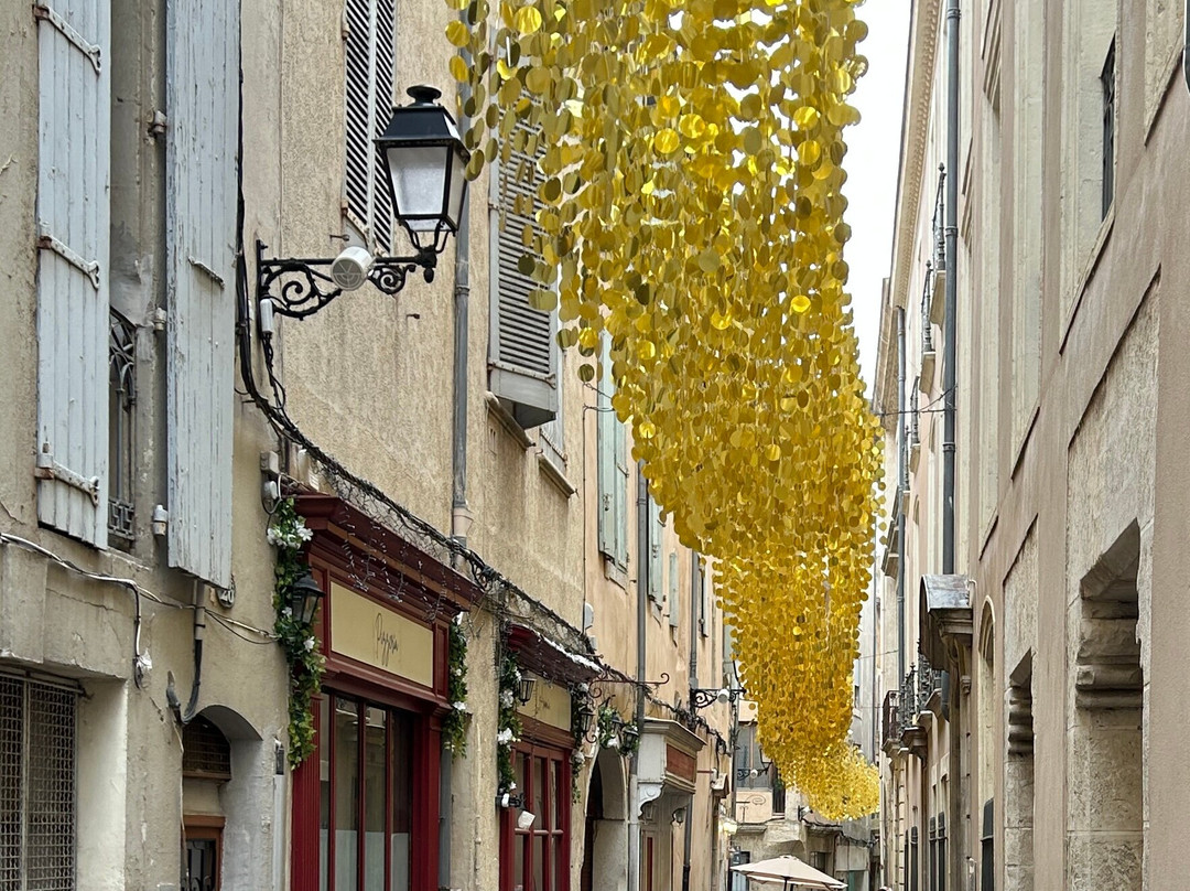 L'Hotel Particulier Béziers主图