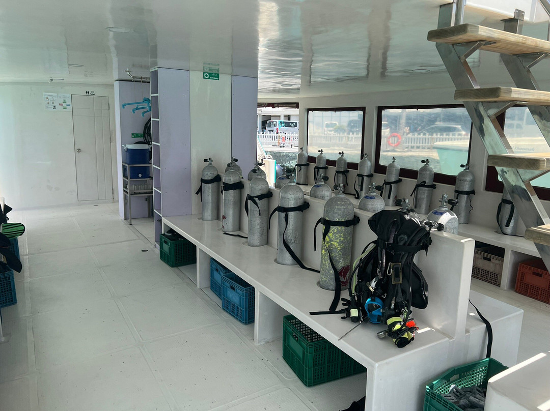 Adora Liveaboard, Maldives-马累必去景点